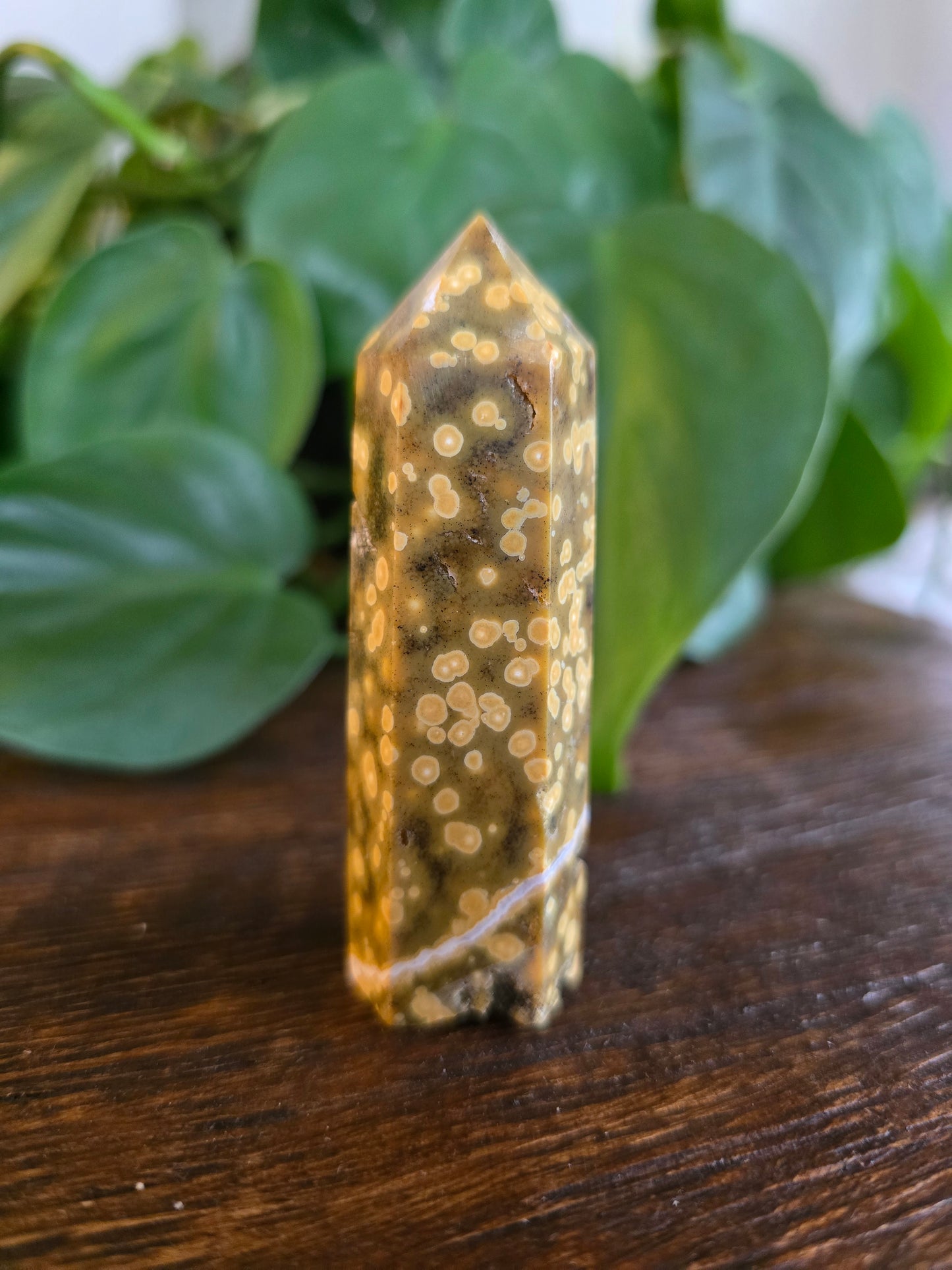 Ocean Jasper Tower "C"