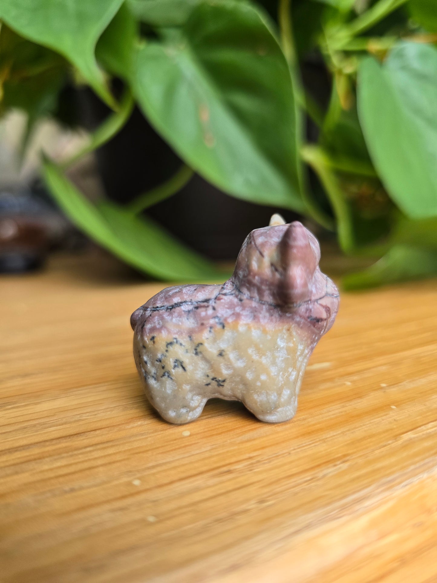 Picture Jasper Cow (Random Selection)
