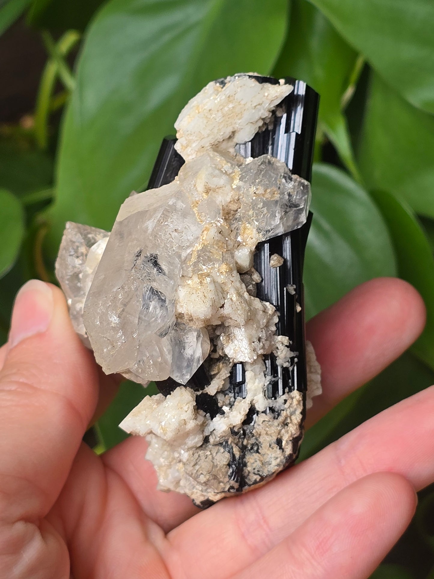 High Quality Black Tourmaline on Quartz Matrix