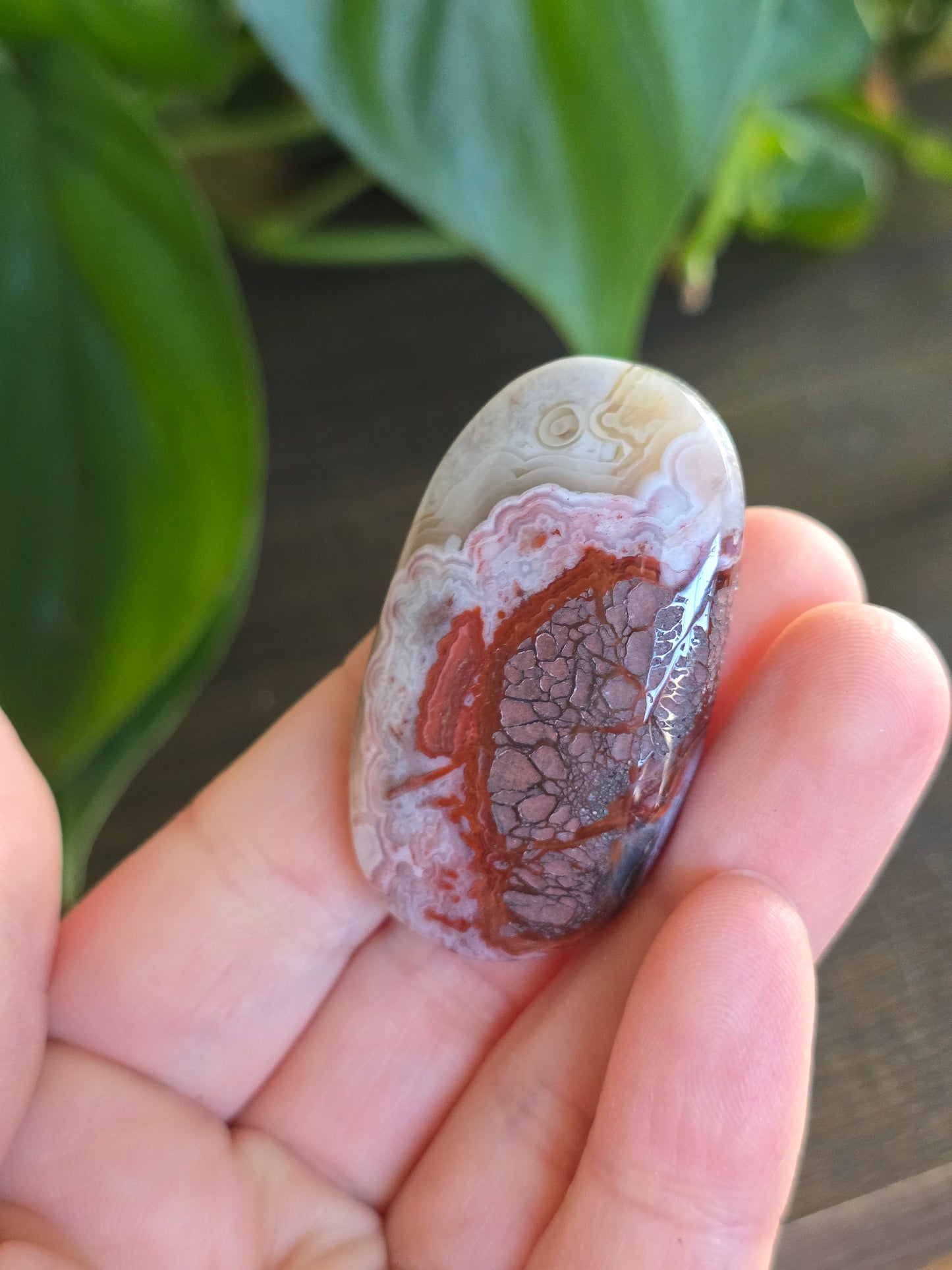 Red Mexican Crazy Lace Agate Palm Stone