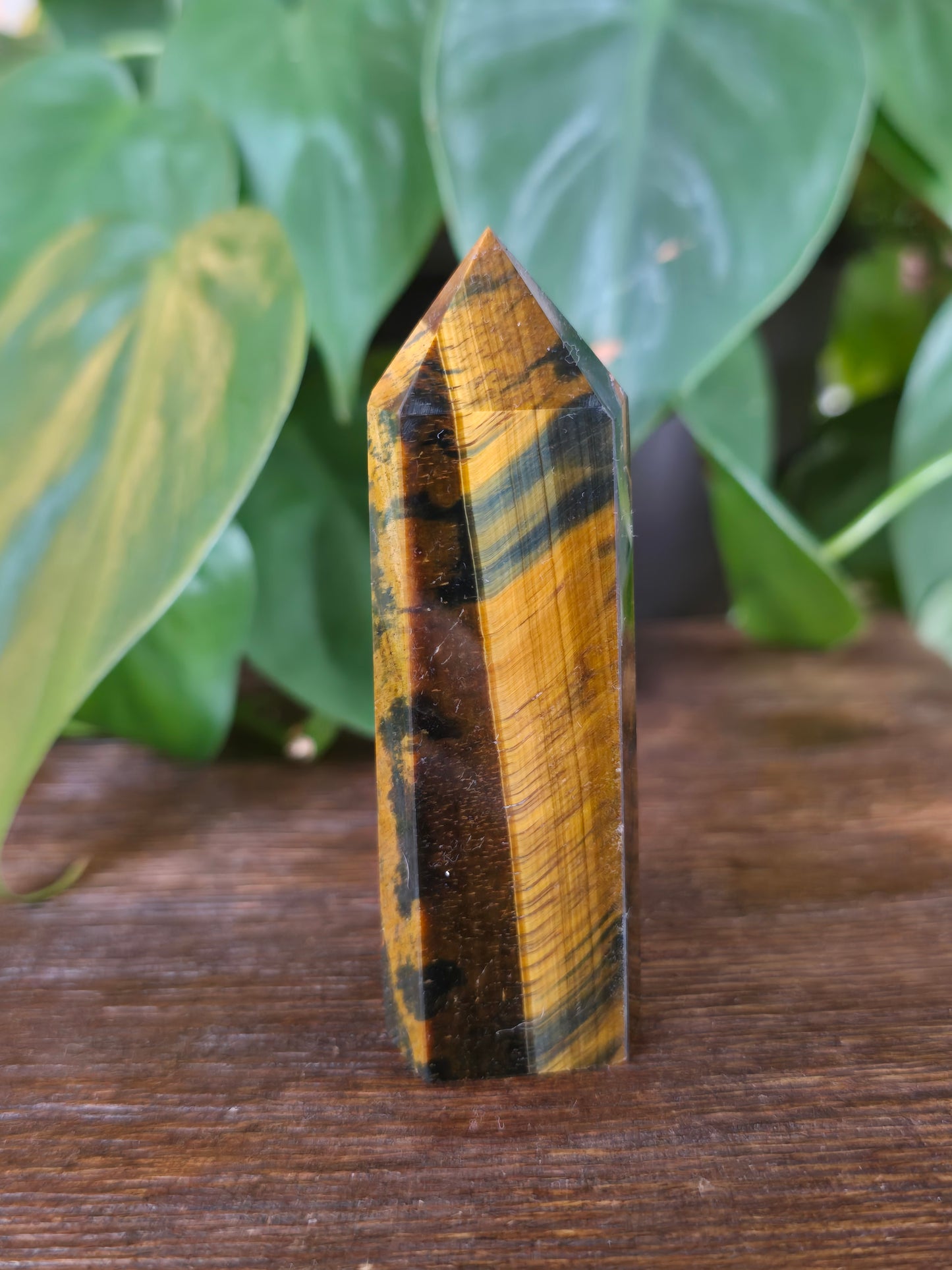 Tiger's Eye Tower "A"
