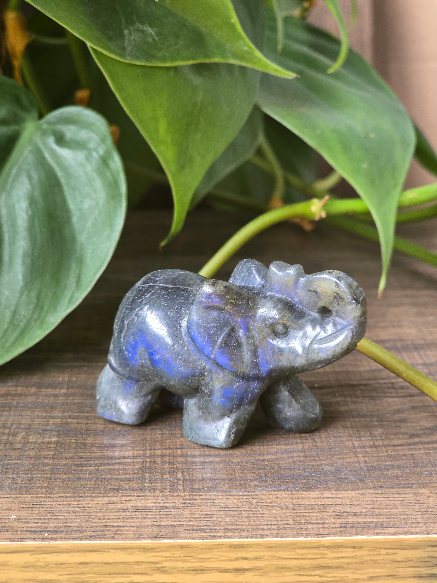 Labradorite Elephant