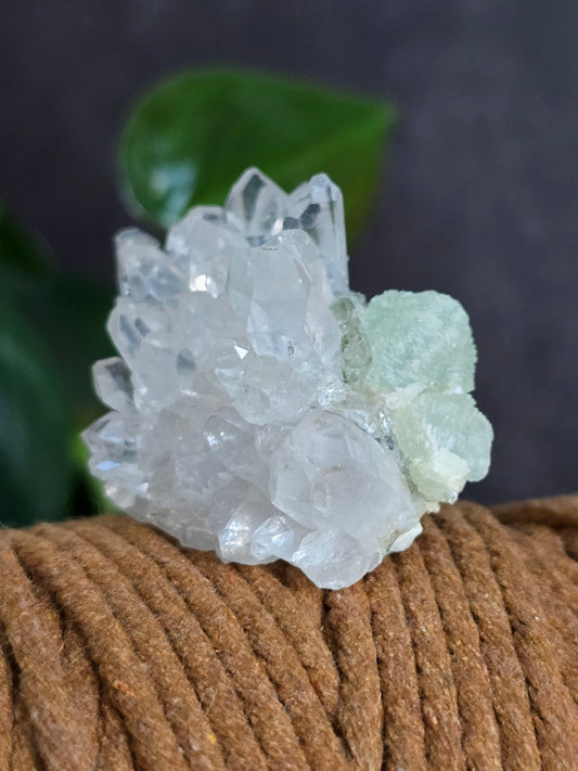 Prehnite and Epidote on Quartz Matrix