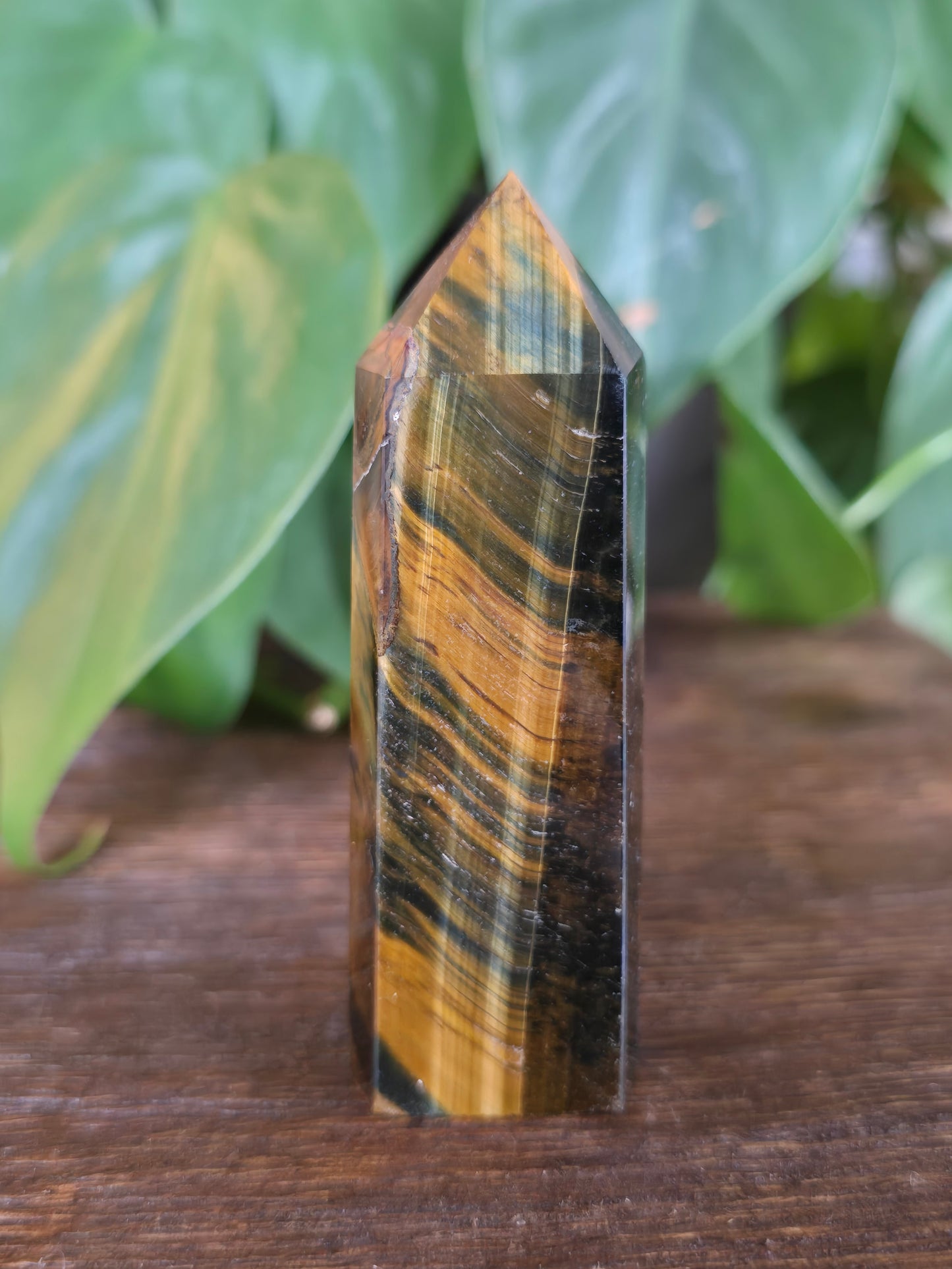 Tiger's Eye Tower "A"