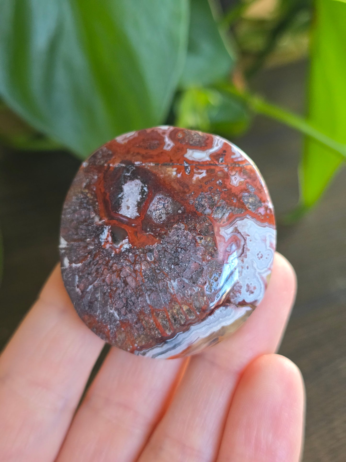 Red Mexican Crazy Lace Agate Palm Stone