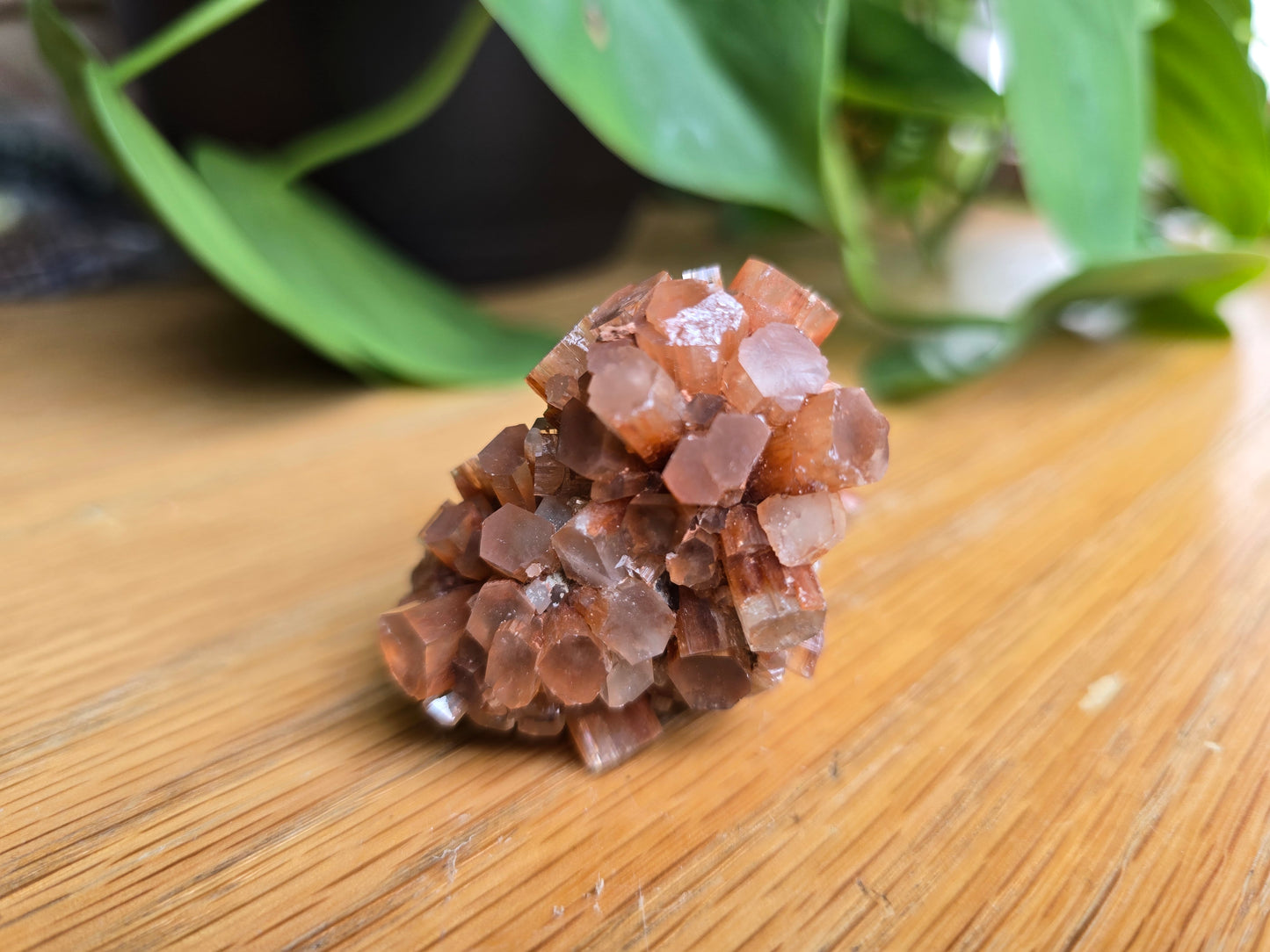 Aragonite Cluster