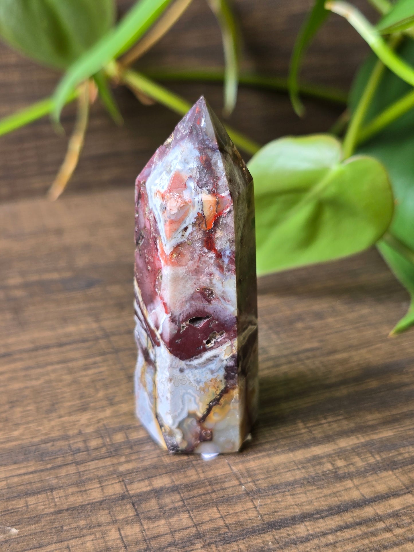 Crazy Lace Agate Point