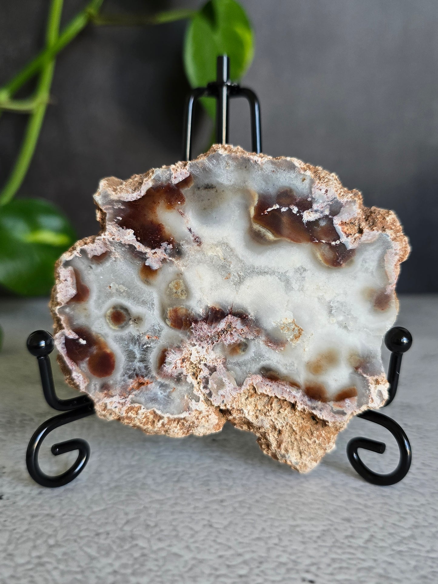 Argentinian Crazy Lace Agate Slab