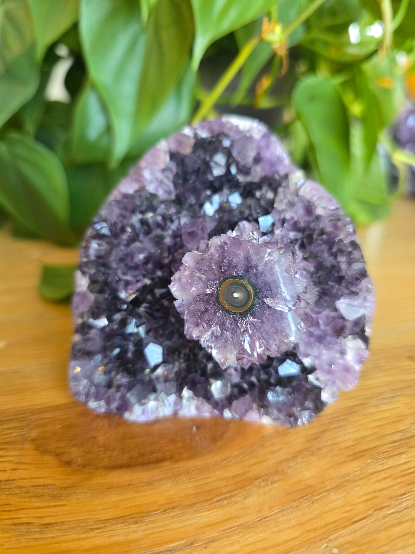 Druzy Amethyst Cluster With Flower