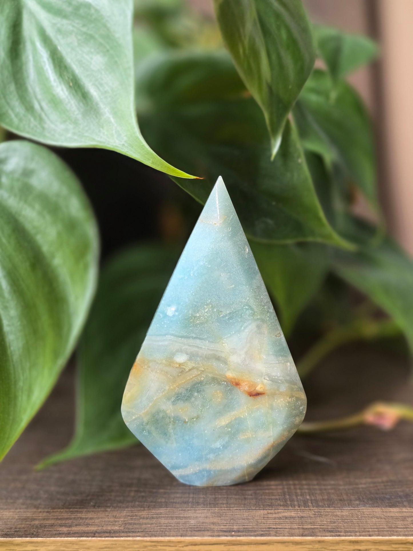 Caribbean Calcite Flipper