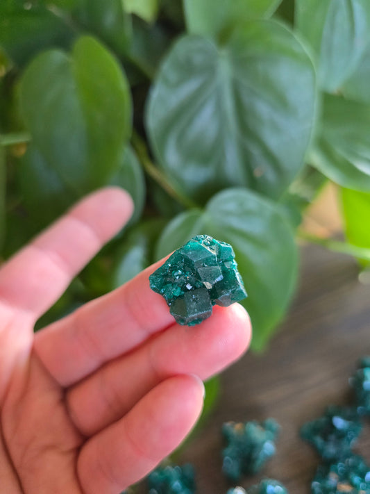 Dioptase Rough Specimen - Congo (36)