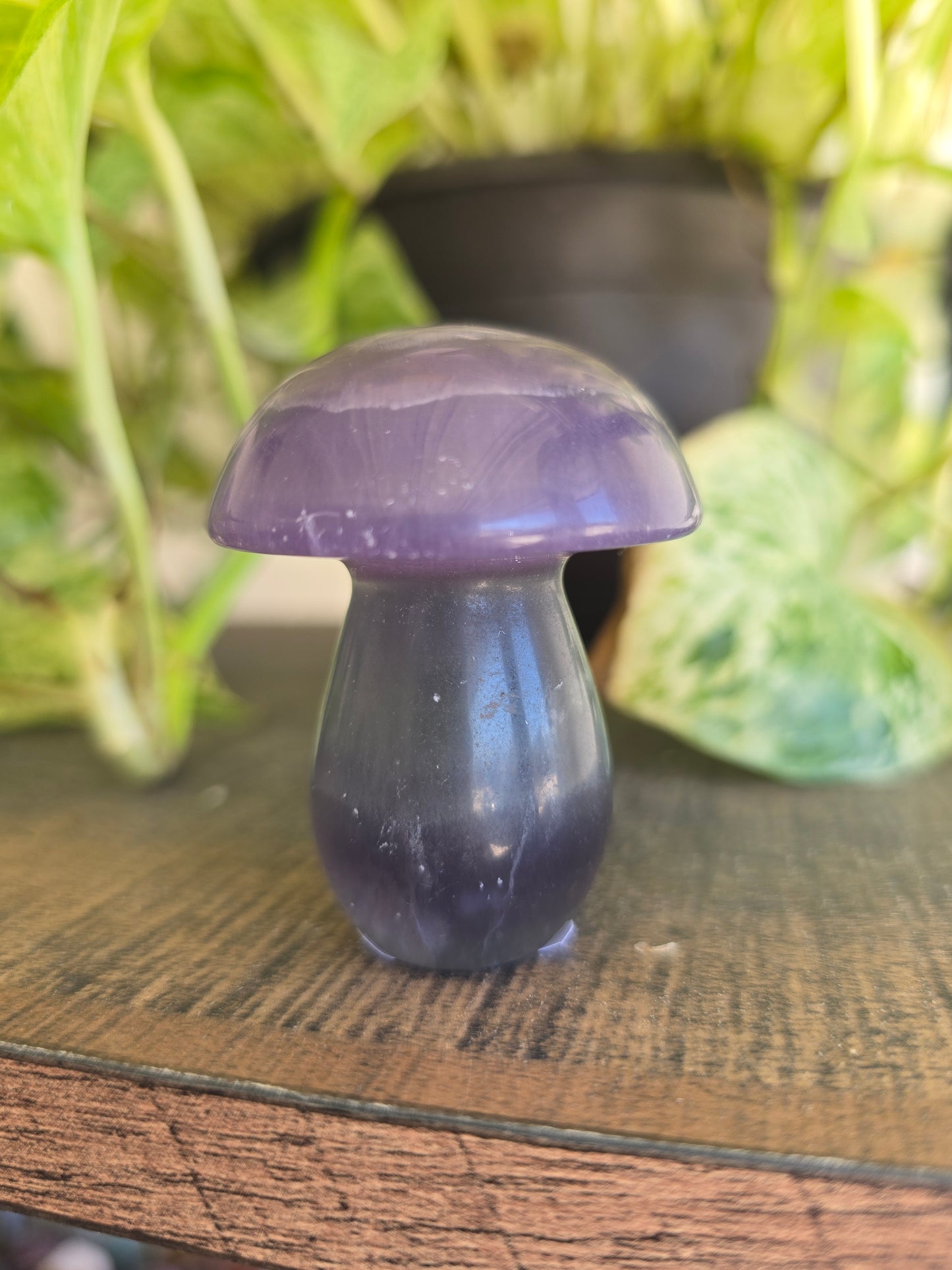 Fluorite Mushroom