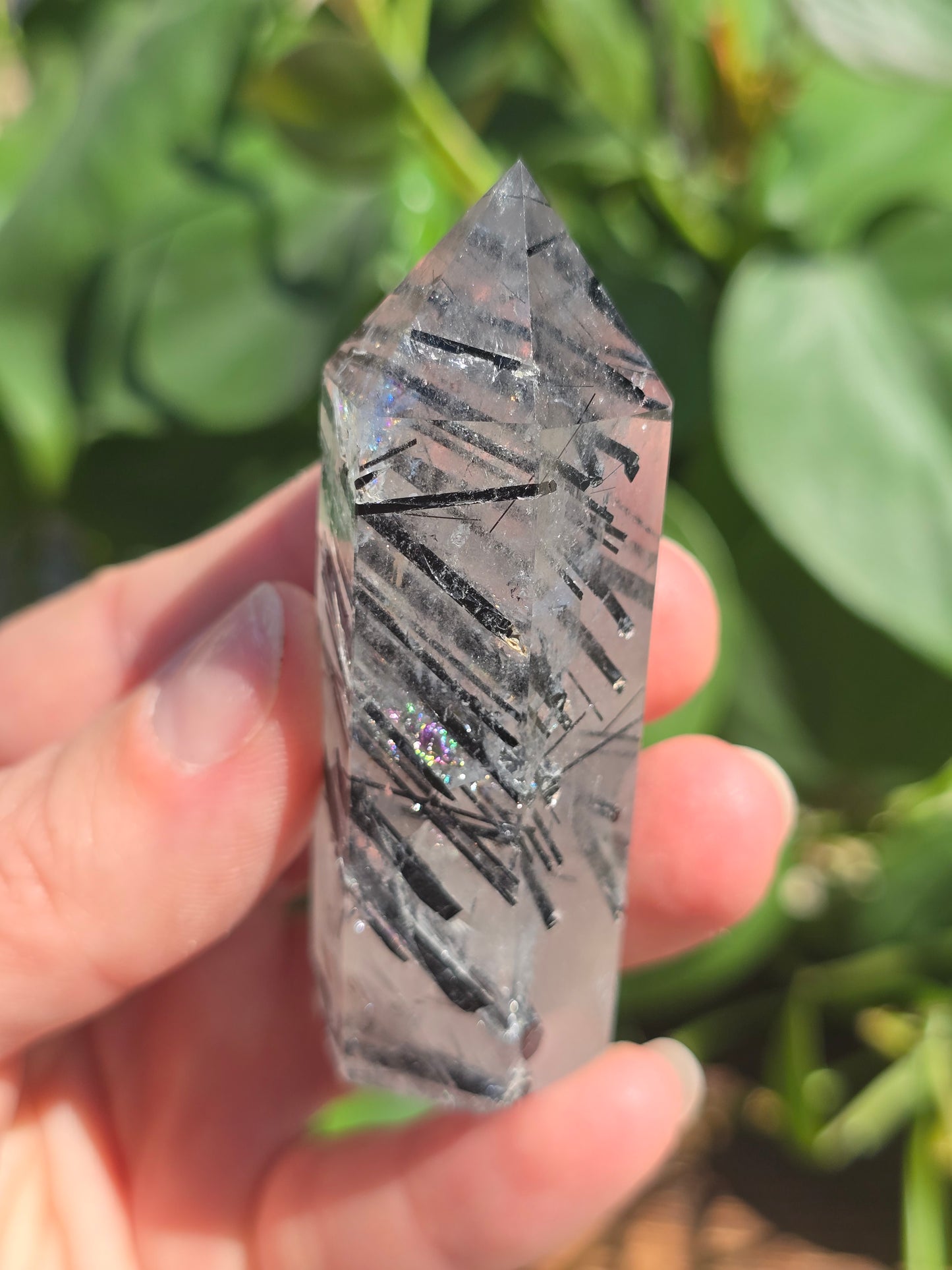 Black Tourmaline in Quartz Point "A"