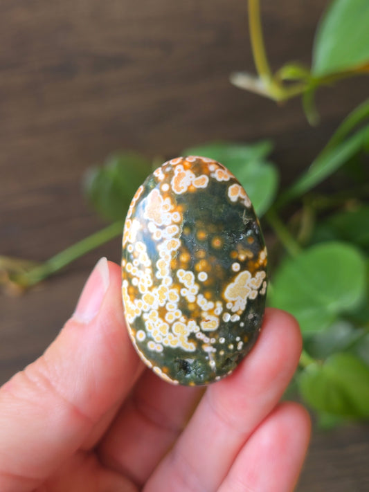 8th Vein Ocean Jasper Palm Stone