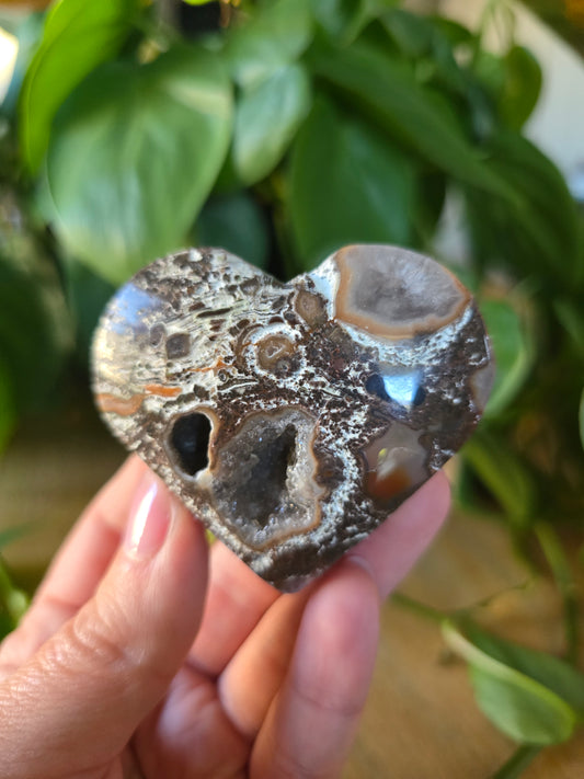 Money Agate Heart