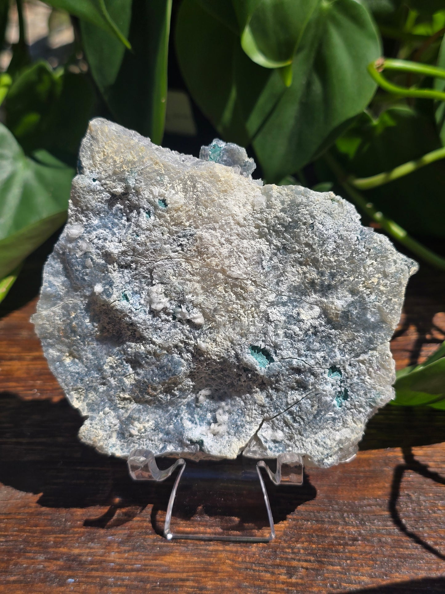 Brazilian Impression Amethyst Plate