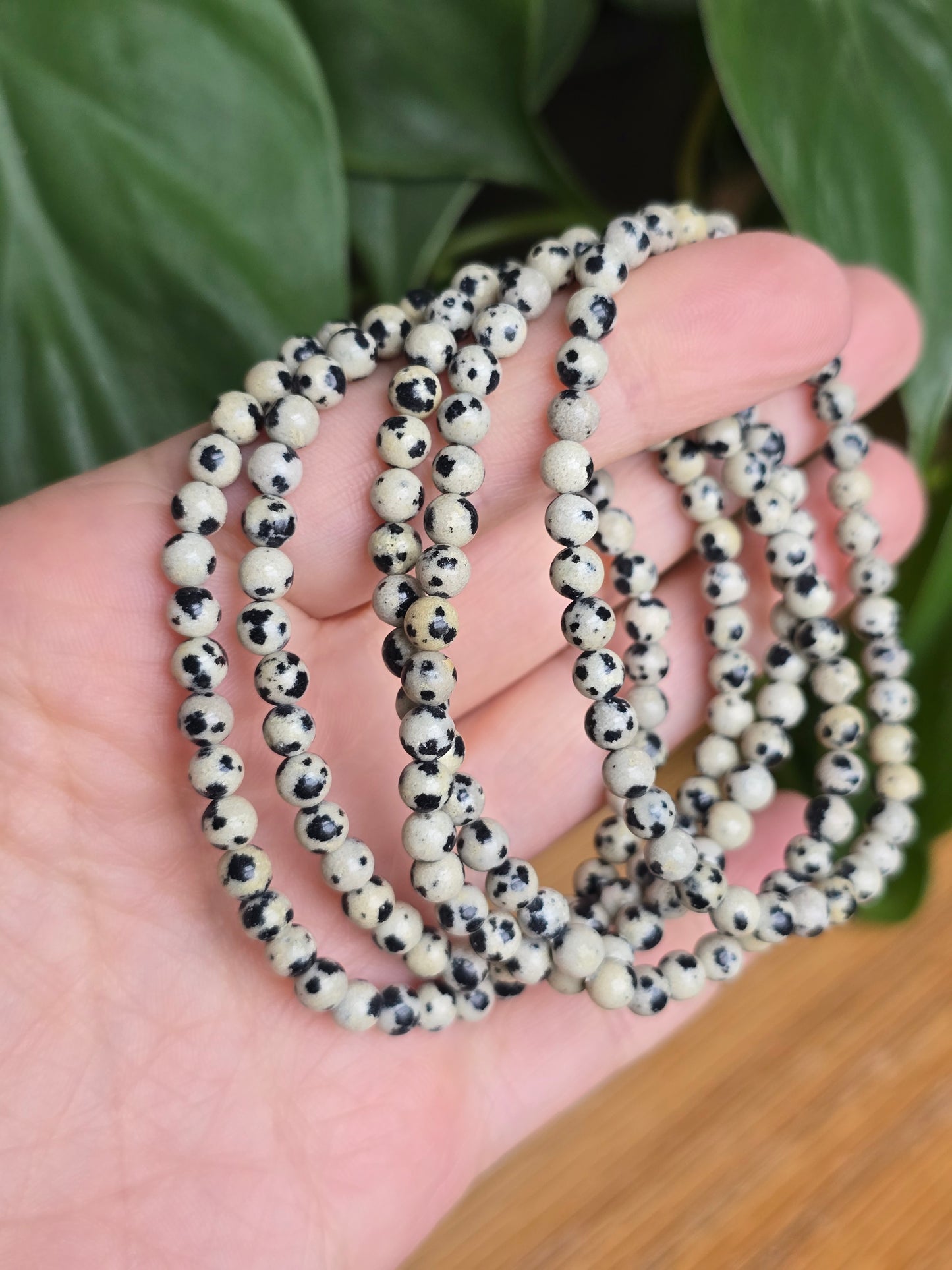 Dalmatian Stone Stretch Bracelet