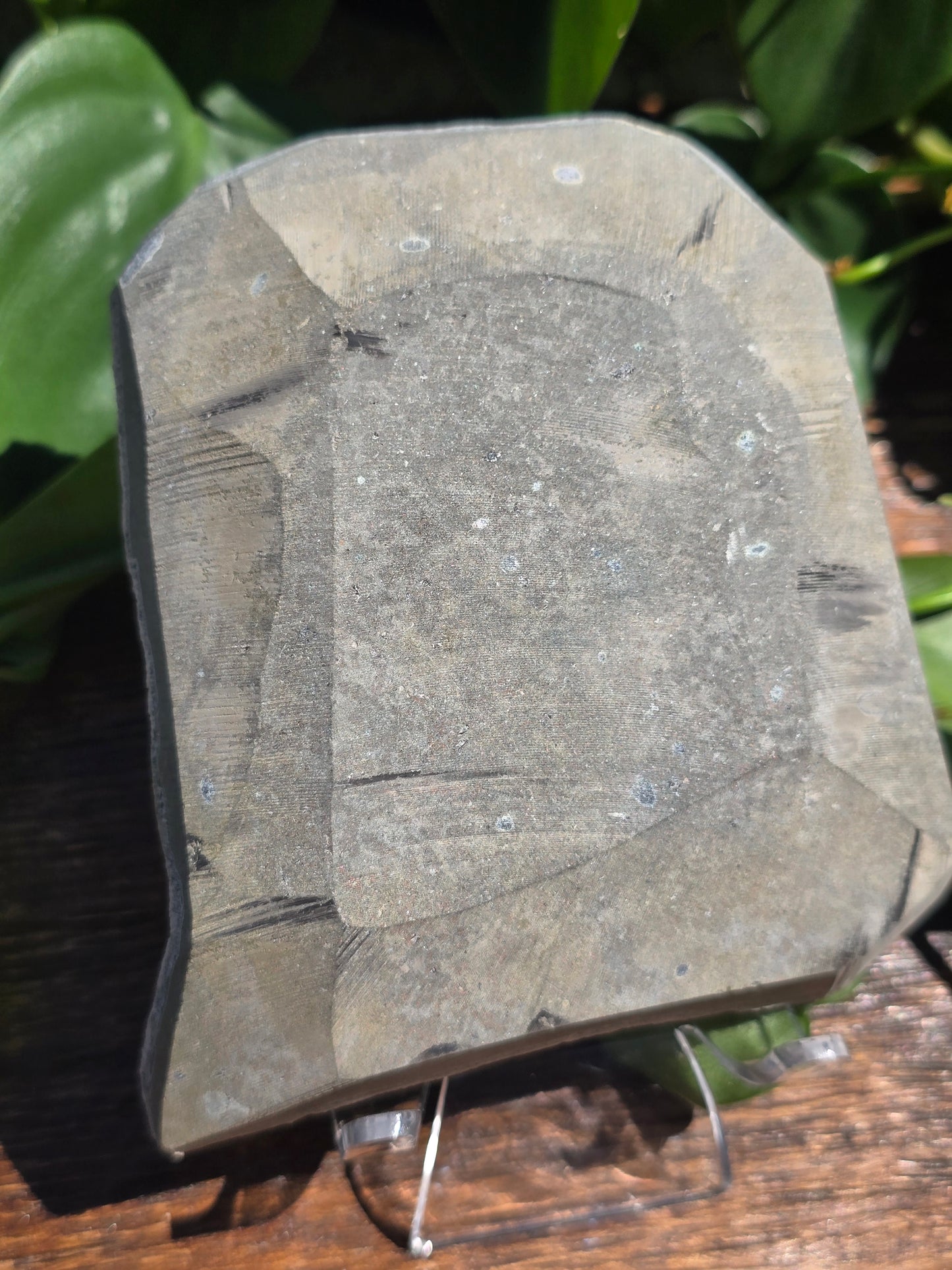 Brazilian Black/Brown Amethyst Plate