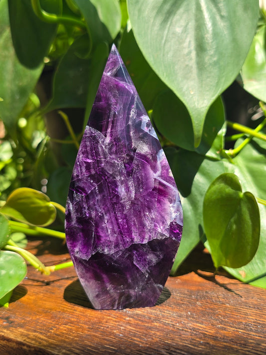 Rainbow Fluorite Flipper "G"