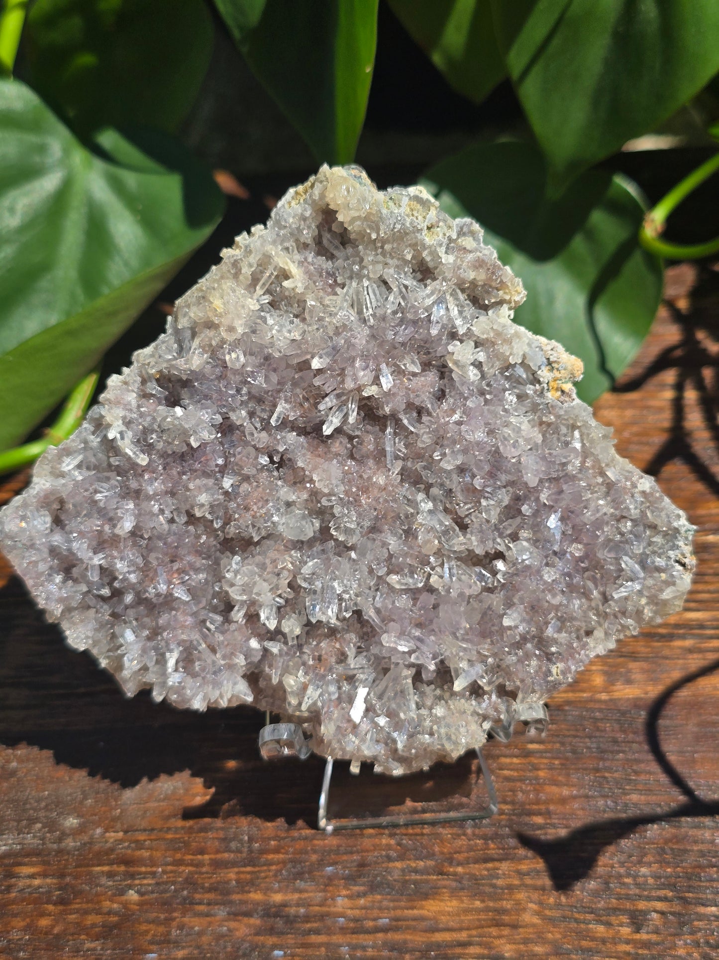 Brazilian Impression Amethyst Plate