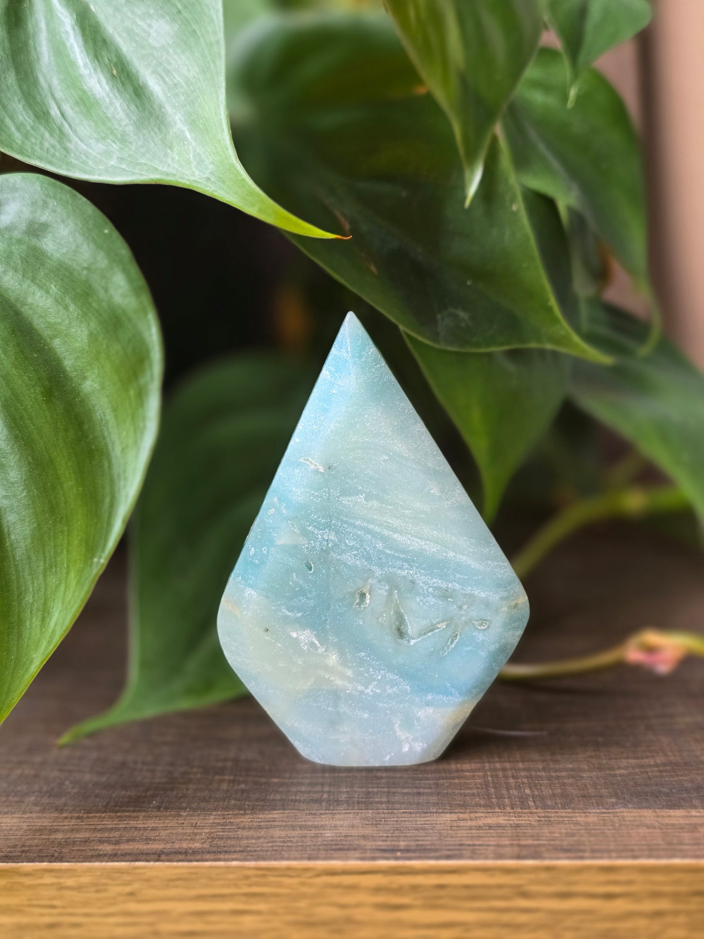 Caribbean Calcite Flipper