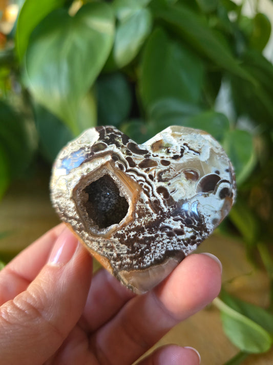 Money Agate Heart