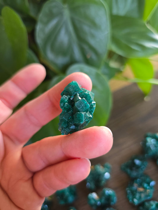 Dioptase Rough Specimen - Congo (34)