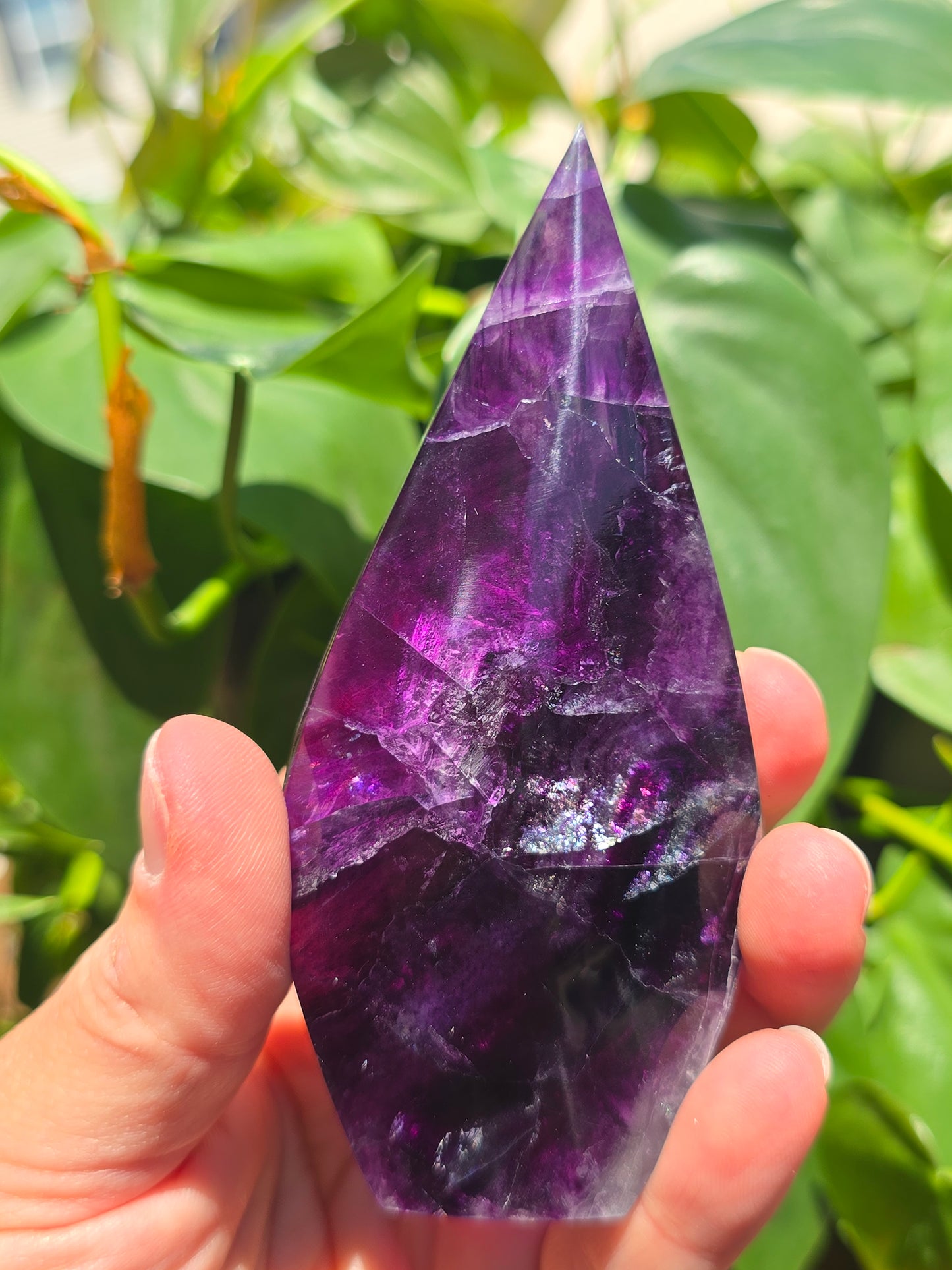 Rainbow Fluorite Flipper "G"
