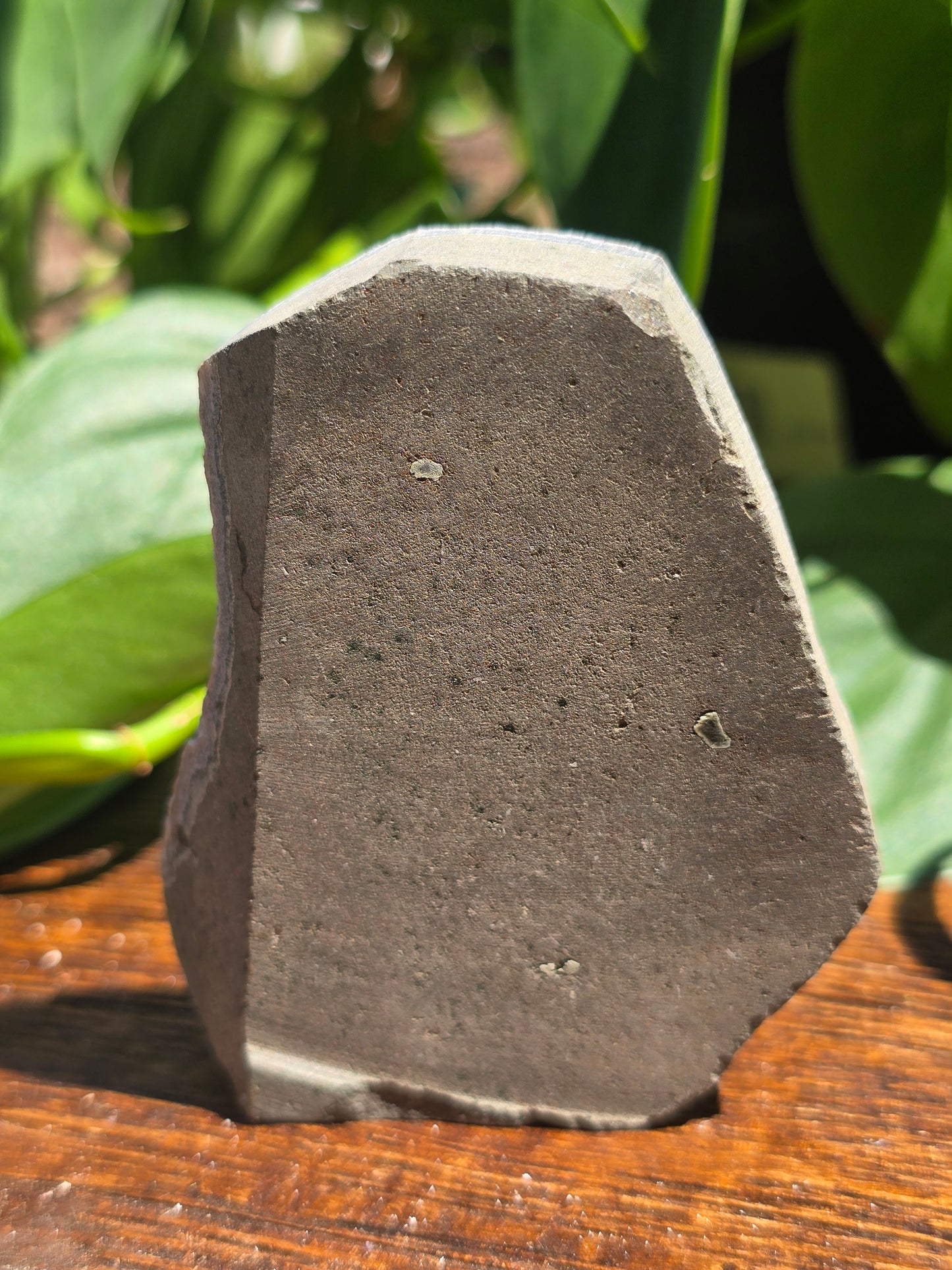 Brazilian Druzy Amethyst Plate