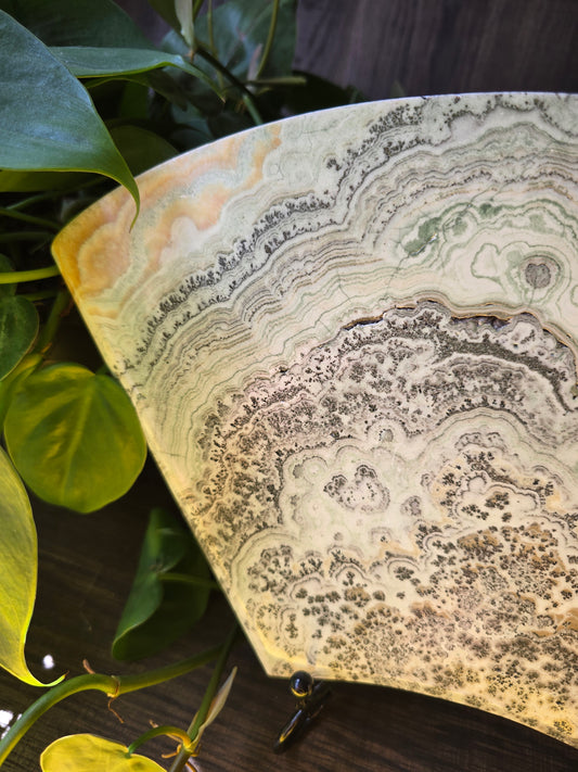 Dendritic Agate Slab