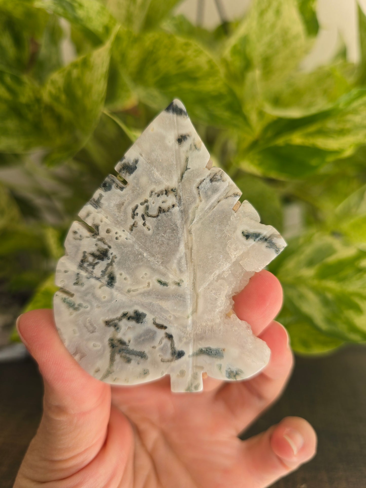 Moss Agate Leaf