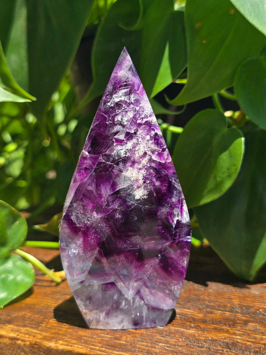 Rainbow Fluorite Flipper "F"