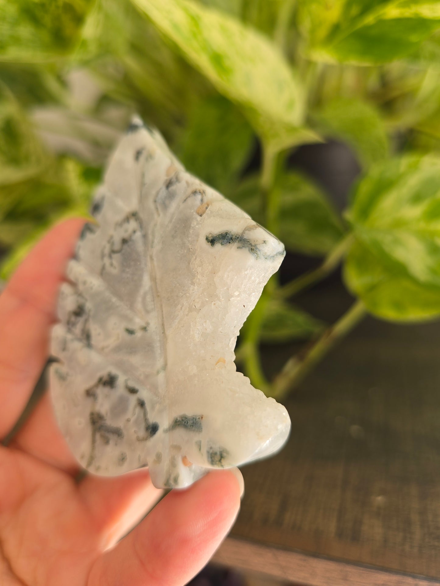 Moss Agate Leaf