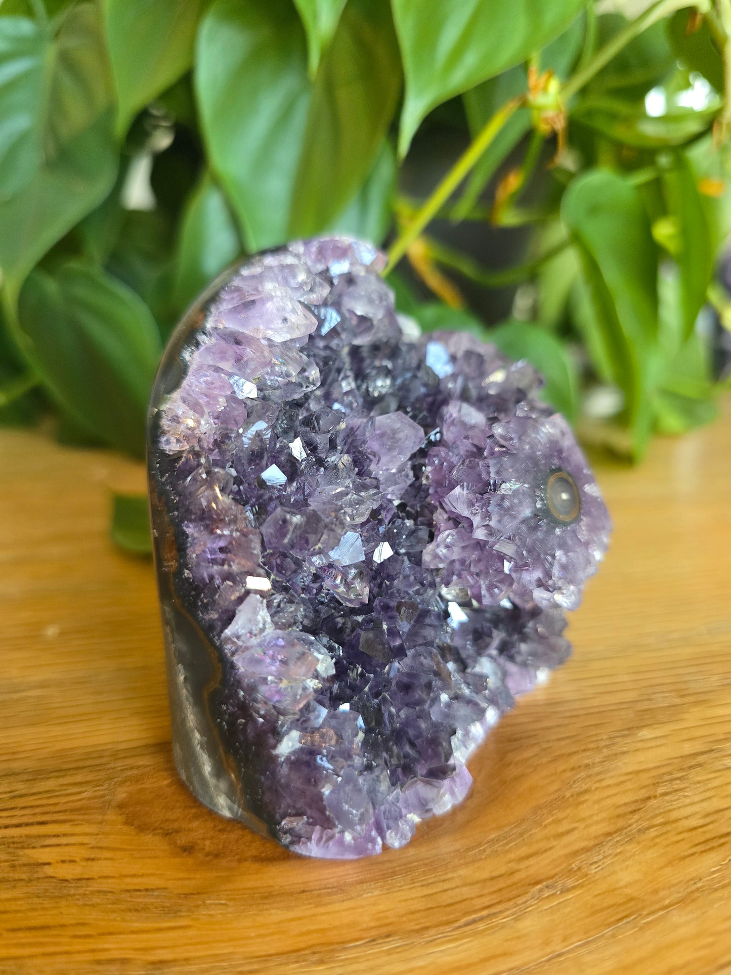 Druzy Amethyst Cluster With Flower