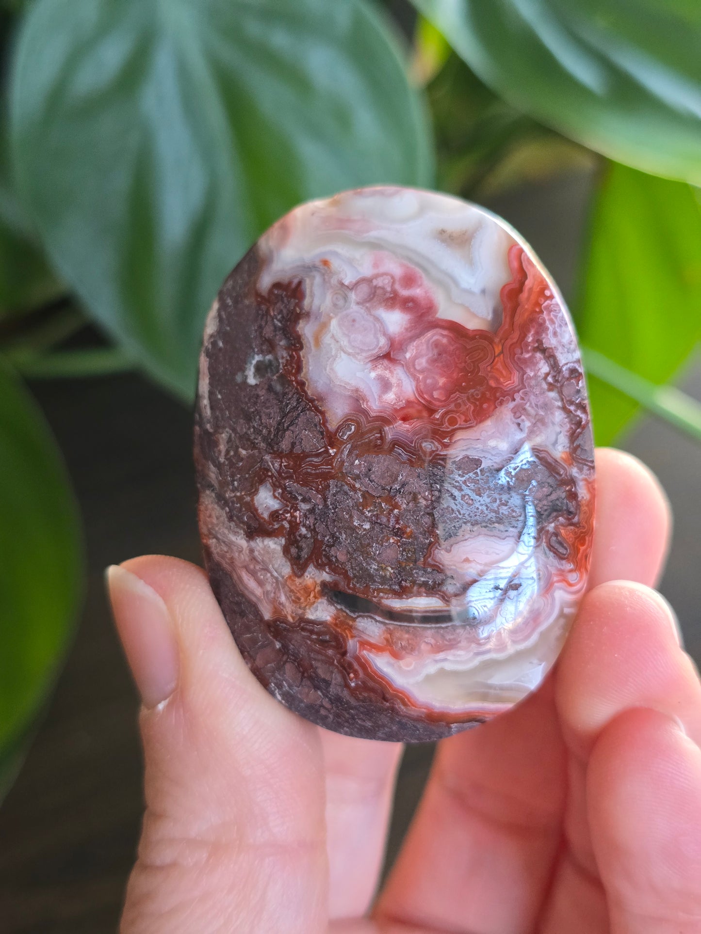 Red Mexican Crazy Lace Agate Palm Stone