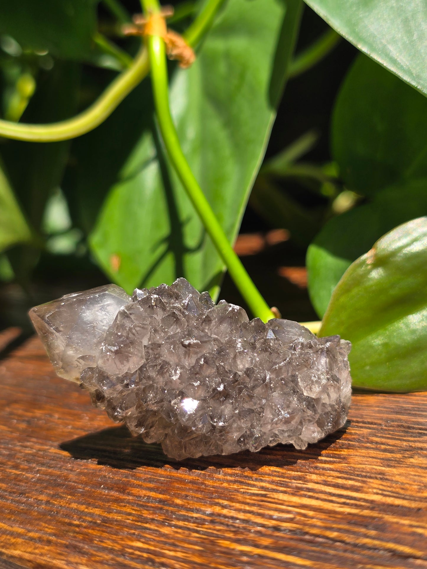 Smoky Black Spirit Quartz Specimen "A"