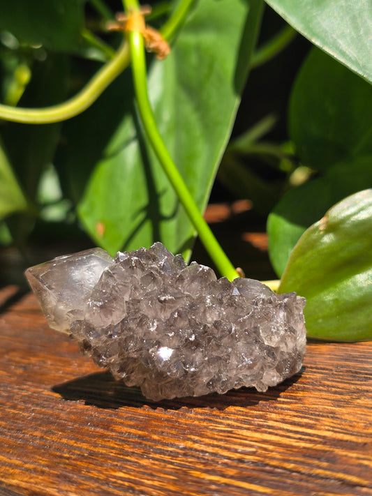 Smoky Black Spirit Quartz Specimen "A"
