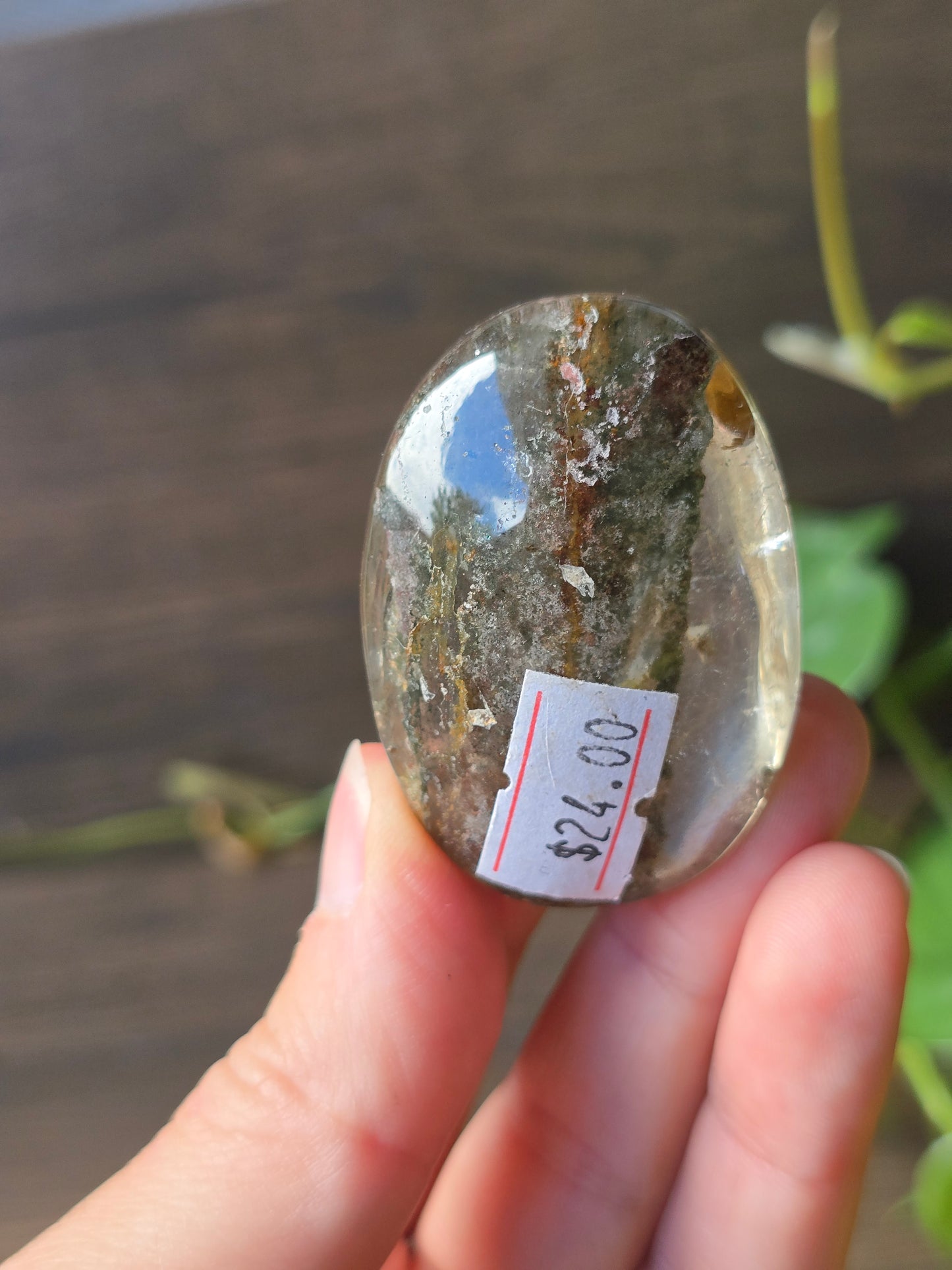 Garden Quartz (Lodolite) Palm Stone