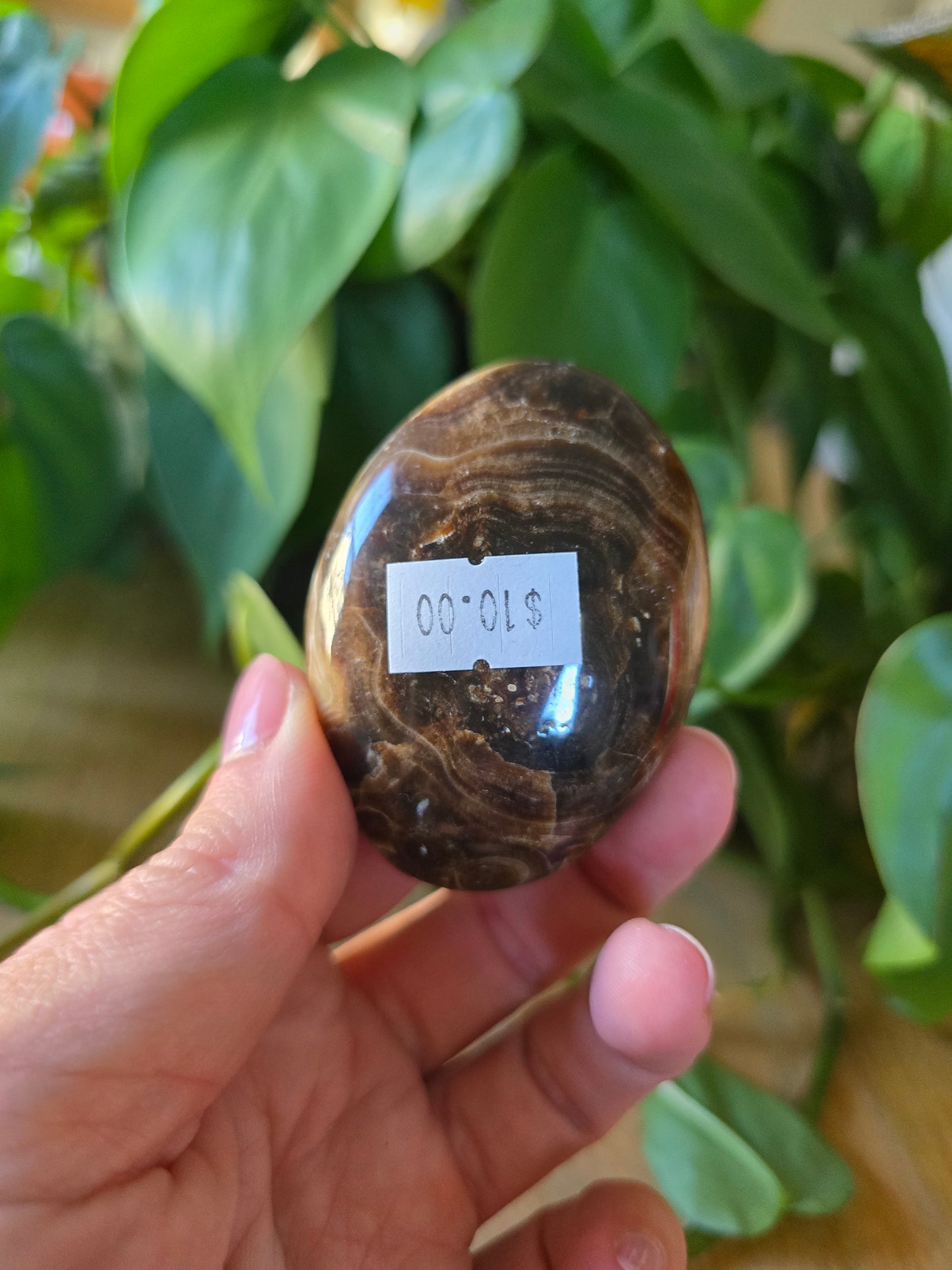 Chocolate Calcite Palm Stone