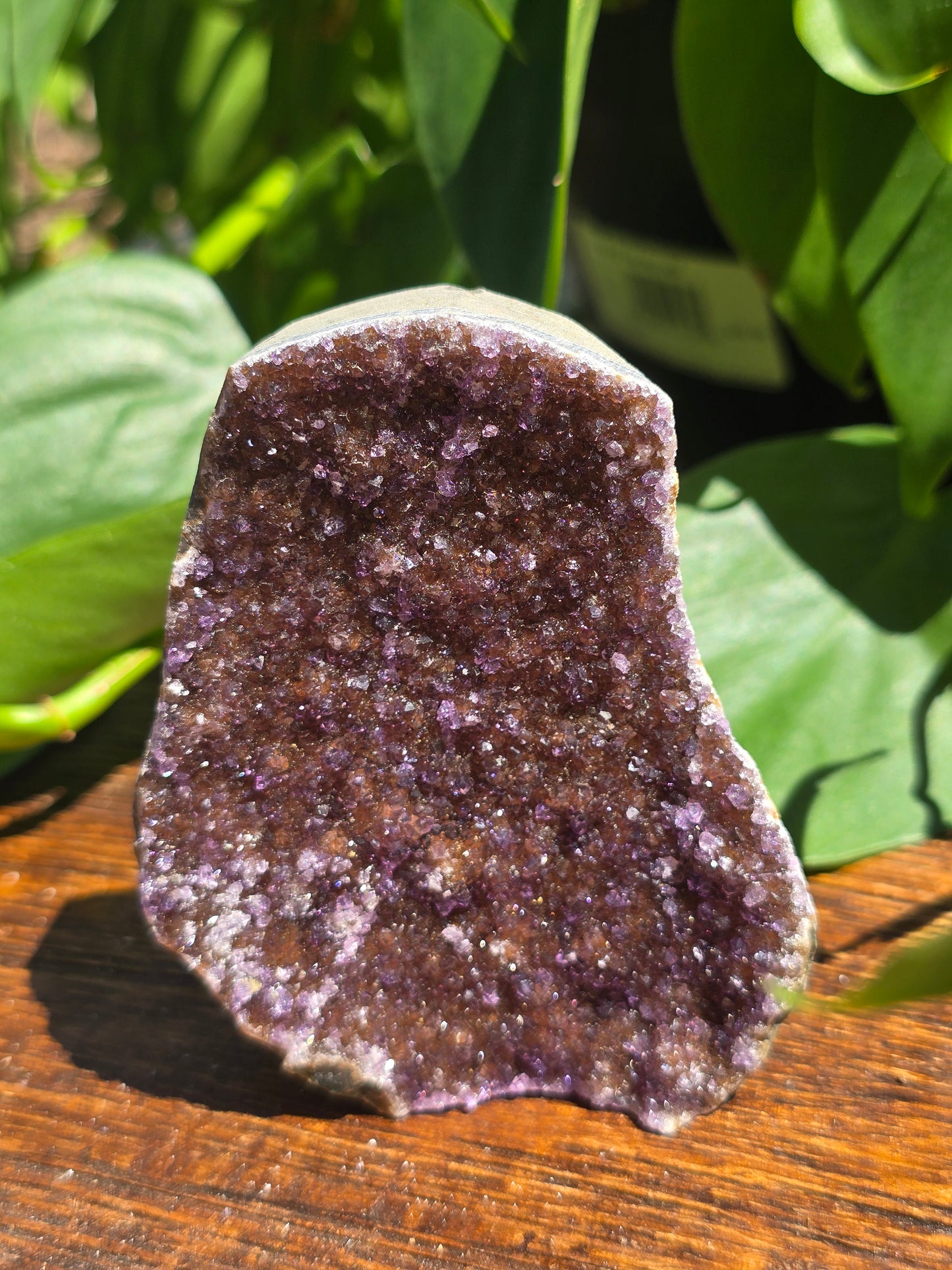 Brazilian Druzy Amethyst Plate