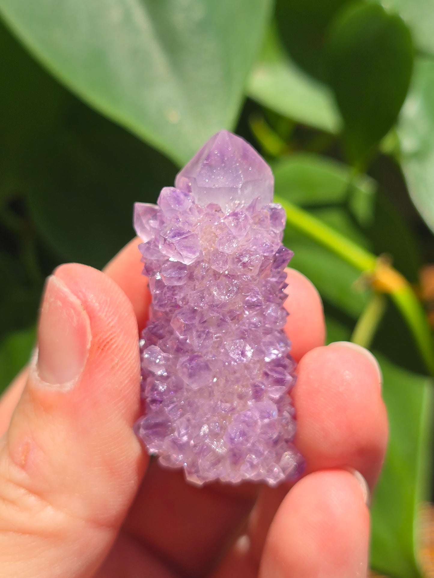 Amethyst Spirit Cactus Quartz Crystal Specimen "G"