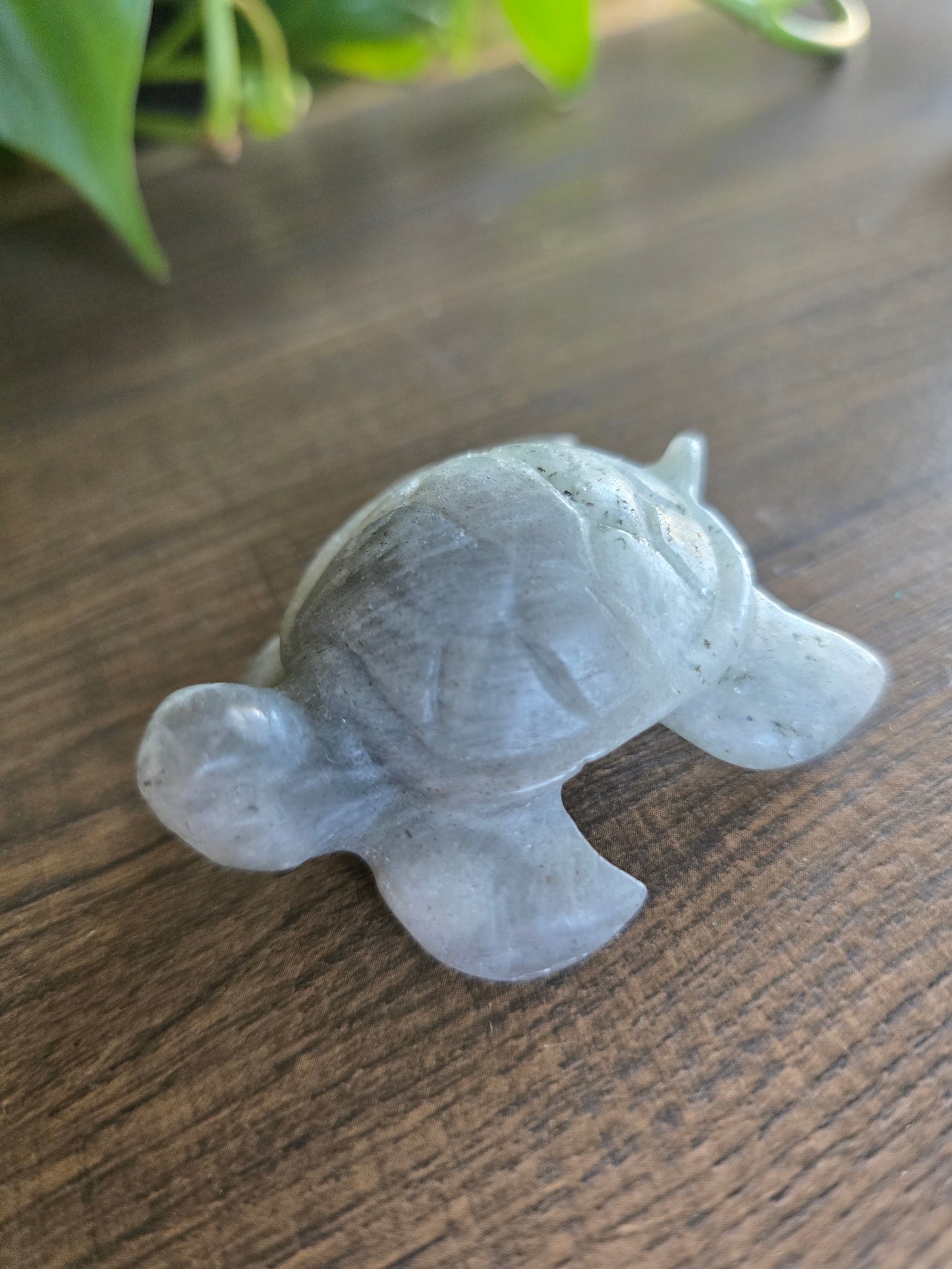 Labradorite Turtle Carving (Low Flash)