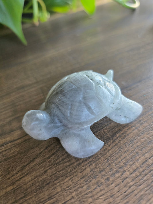 Labradorite Turtle Carving (Low Flash)
