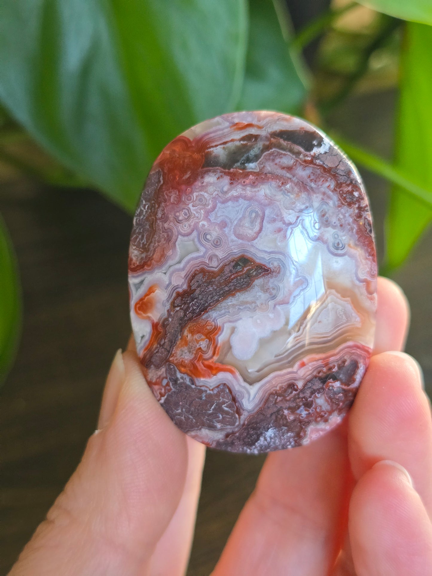 Red Mexican Crazy Lace Agate Palm Stone