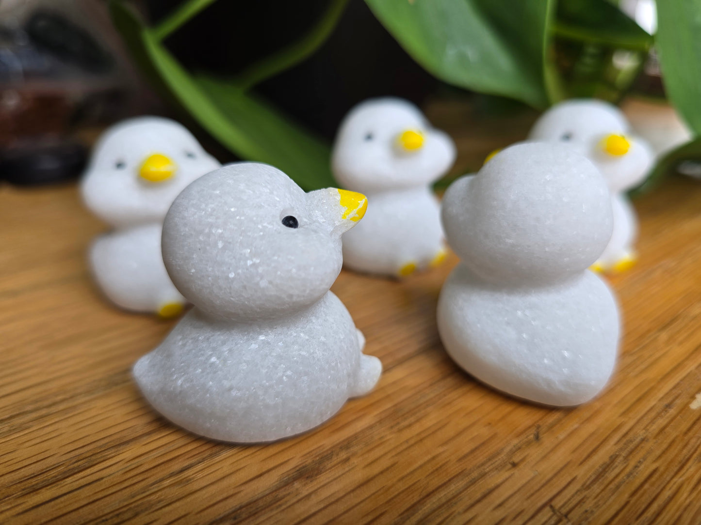 White Stone Ducks