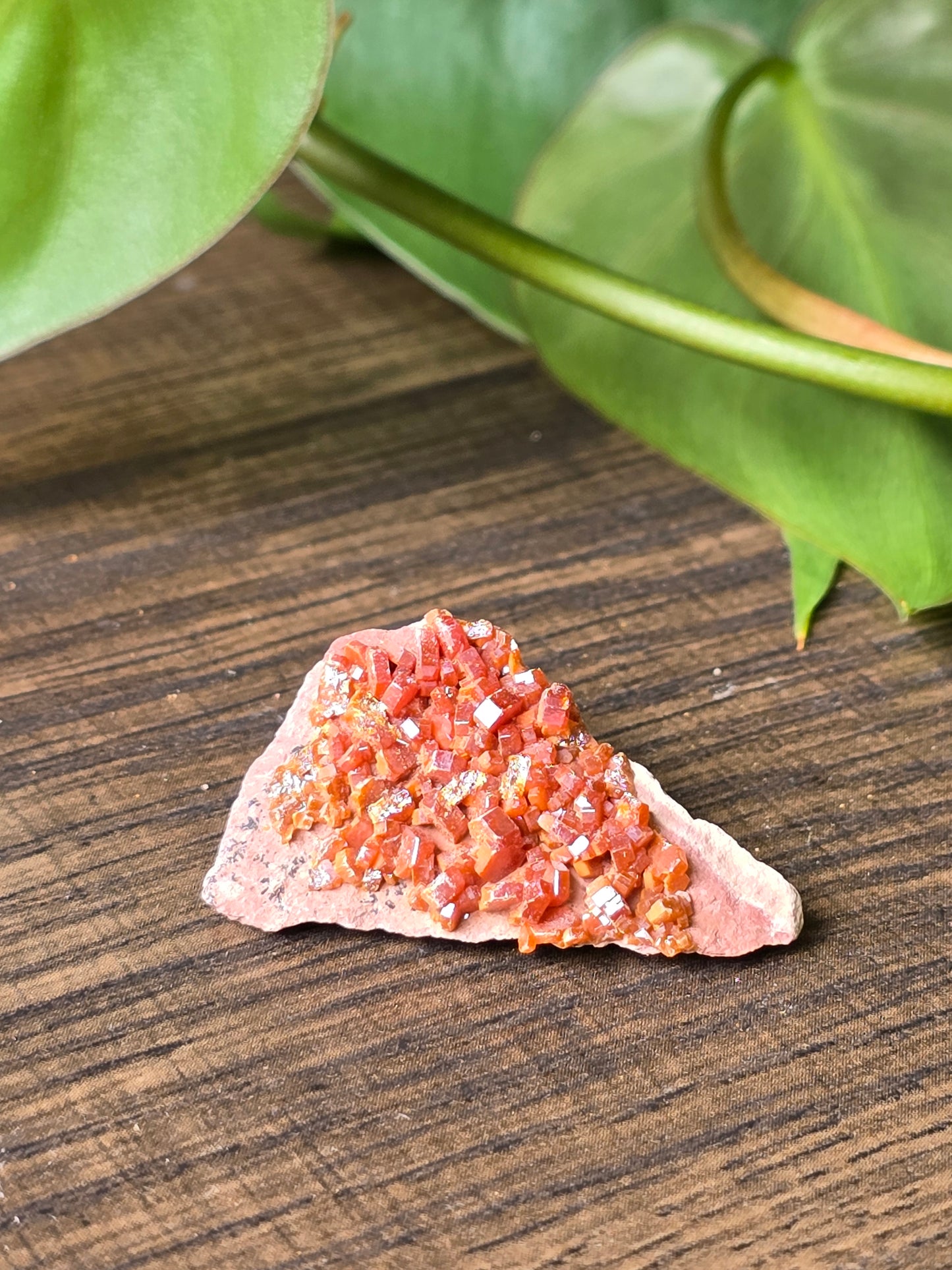 Vanadinite Cluster