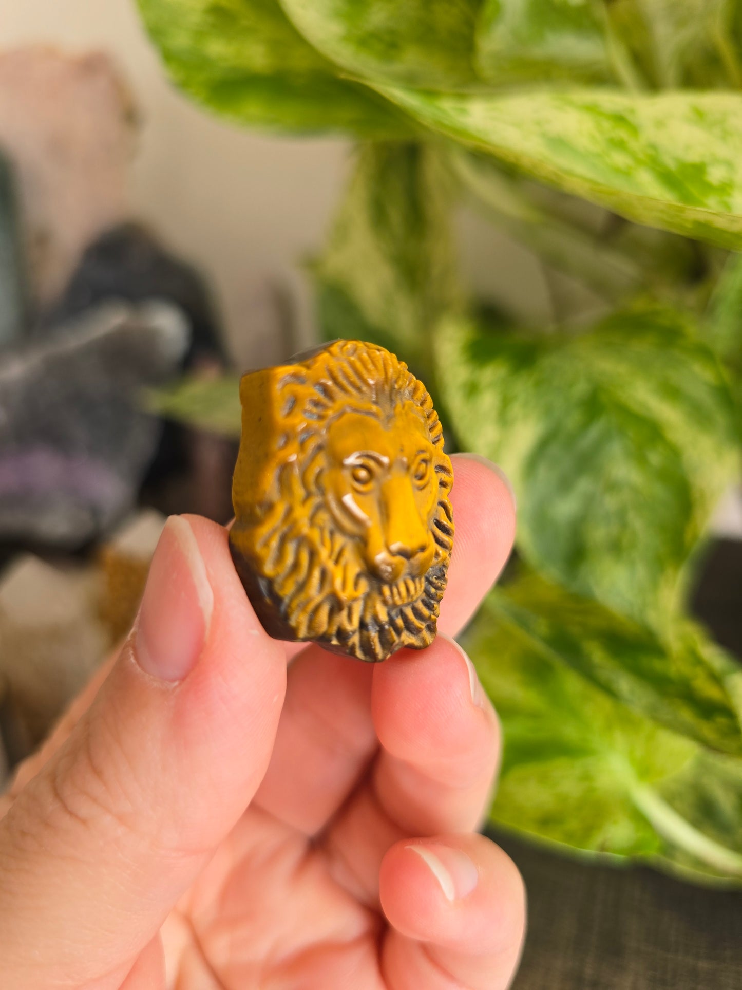 Tiger's Eye Lion Head