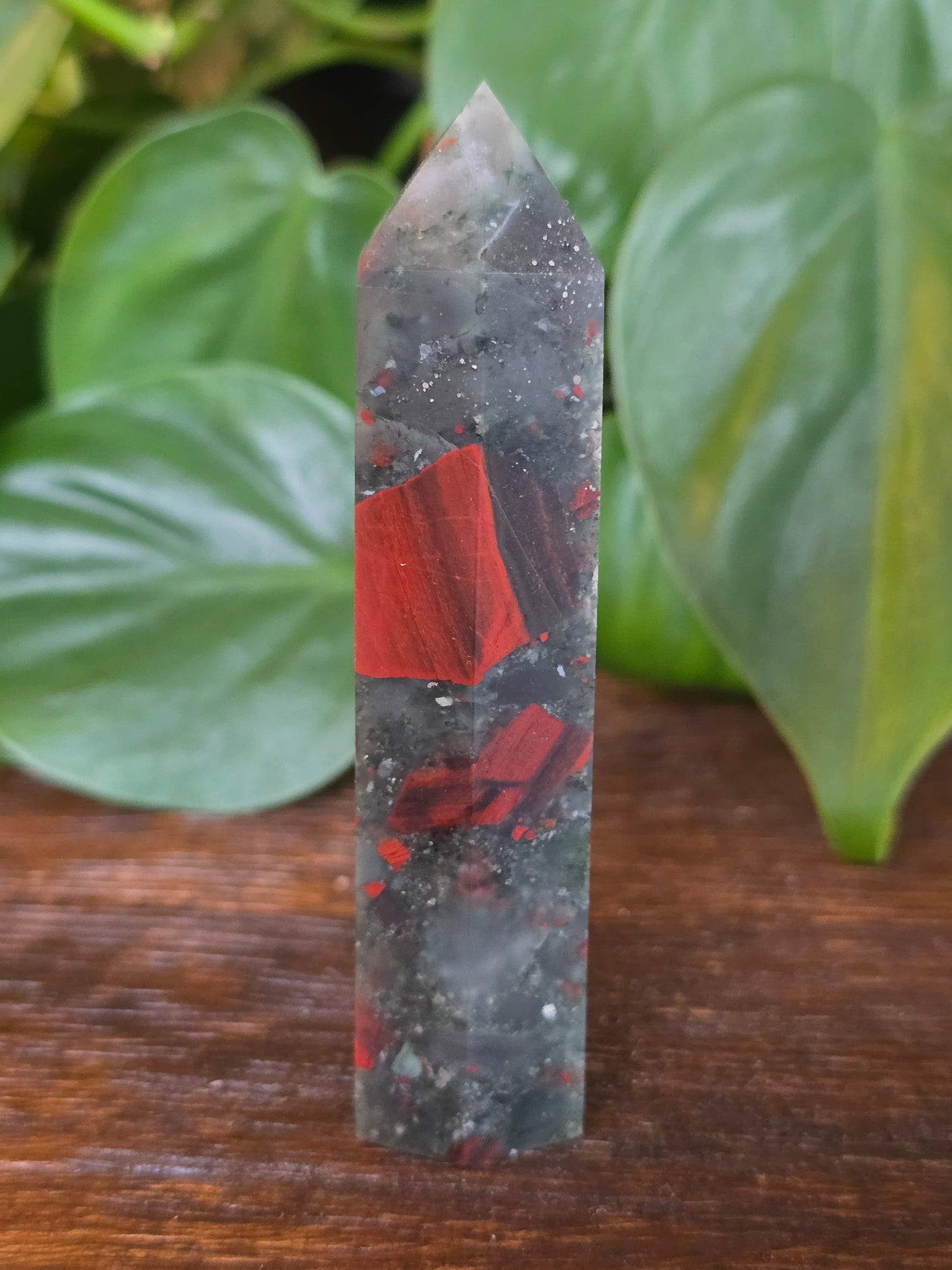 African Bloodstone Point "H"
