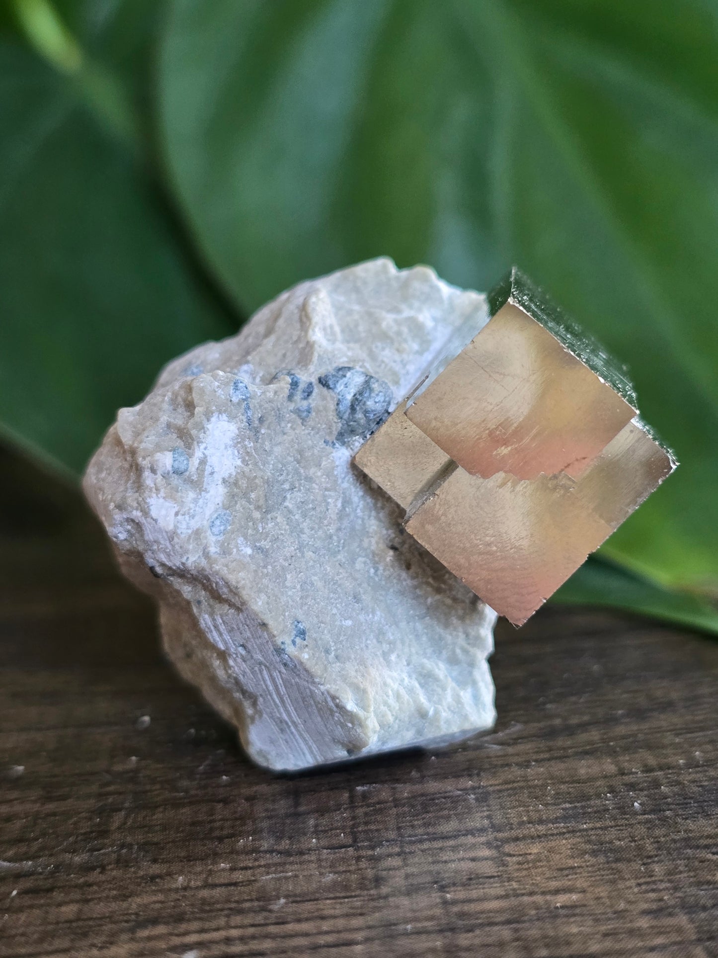 Pyrite Cube on Host Stone