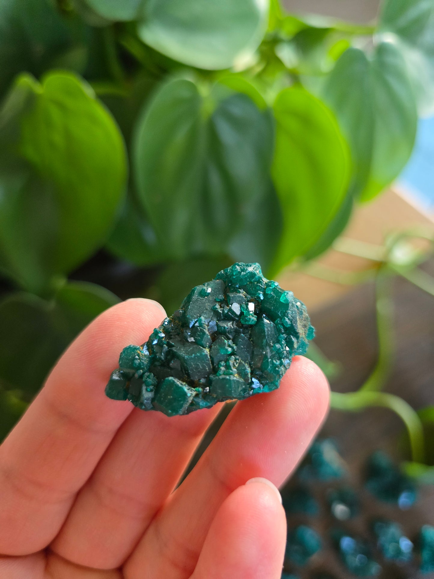 Dioptase Rough Specimen - Congo (10)